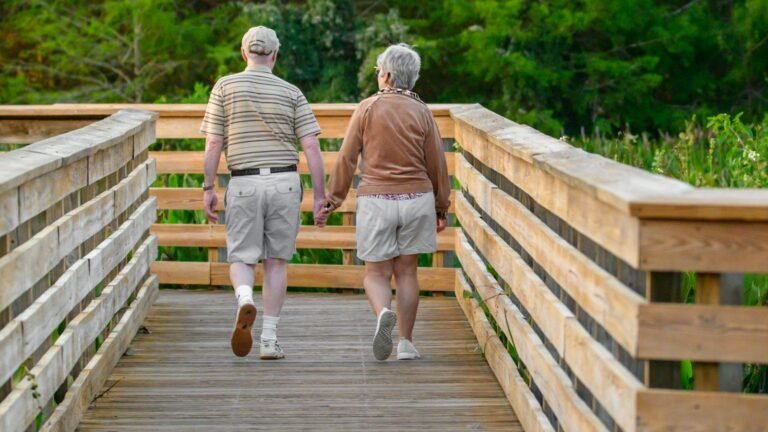 Casal de idosos caminhando por uma ponte de madeira