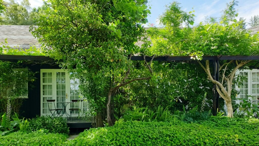 Casa com gramado verde e árvores na frente
